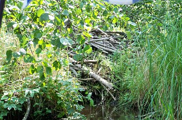 Urlop Pokośno 2012 #urlop