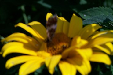 Urlop Pokośno 2012 #urlop