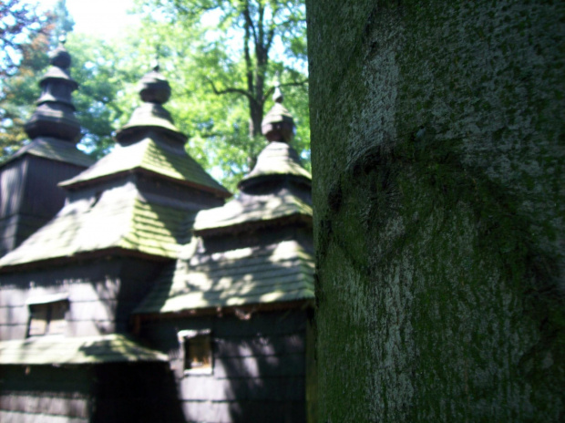 Czujny "strażnik" cerkwi,wszystkich widzi :)