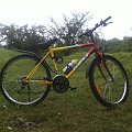 Mój rower BEST JOCKER COMPANION (2)