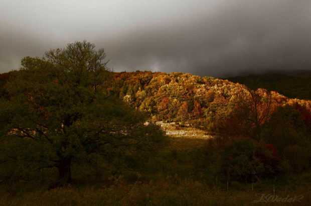 Bieszczady #góry #bieszczady #NaSzlaku