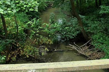 #korczew #bużyska #drohiczyn #olendry #drażniew #RzekaBug #PodlaskiPrzełomBugu