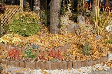 #palisada #zpd #marczak