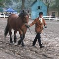 przykład idealnego dobrania stroju do konia
viceczempion aukcji wystawy - Junak (Bolero - Jarzębina po Balaton), hod. Adam Wydra