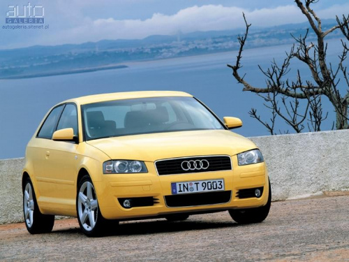 Audi A3 przed tuningiem VT