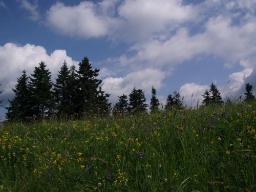 Pieniny #góry #Pieniny