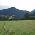 Pieniny #Pieniny #góry