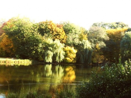 Jesień w Parku Skaryszewskim