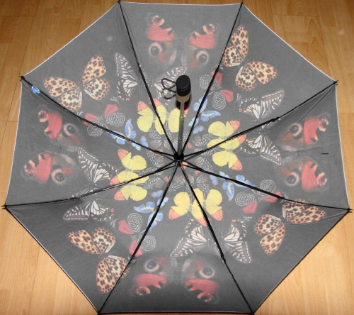 zest foto series parasol