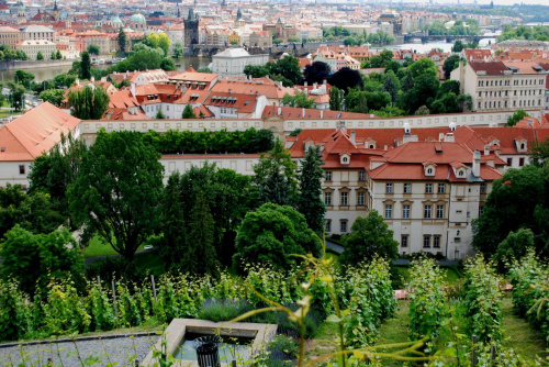 PRAGA NAJWĘŻSZA ULICA ŚWIATA?