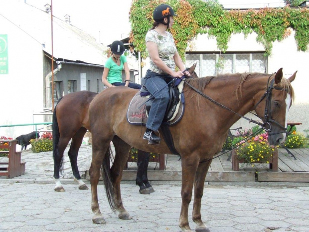 Rehabilitacja - Faraon - Sierpień 2009