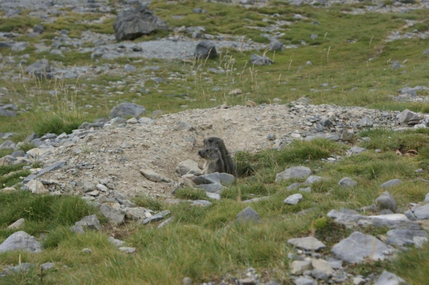 Pireneje - sierpień 2009