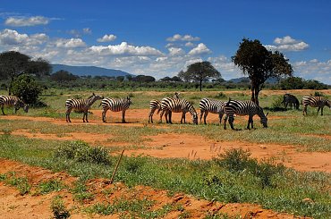 park narodowy Tsawo #Kenia #safari #Tsawo