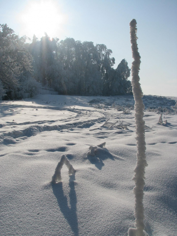 Daleko od domu #Krajobraz #mróz #Przyroda #Śnieg #Zima