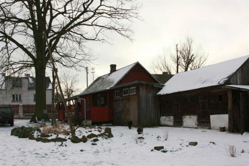 Zima