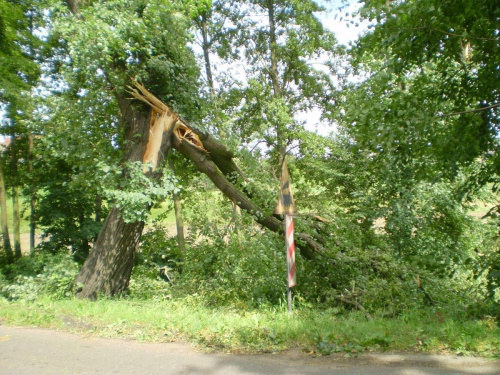 Między Strzelcami Wielkimi a Piaskami