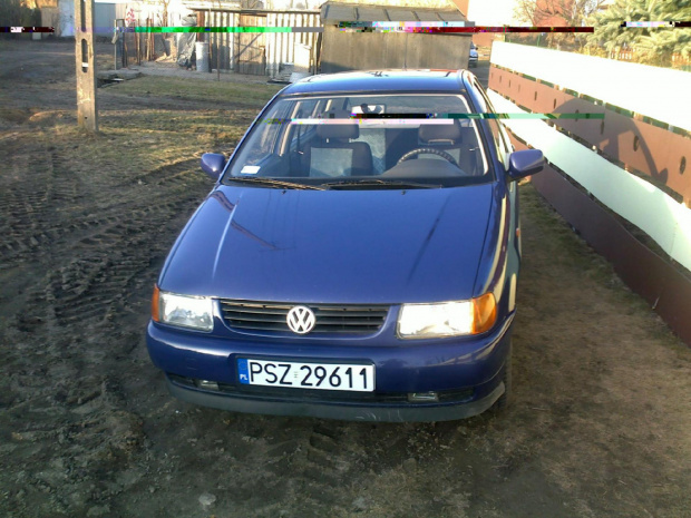 Polo