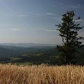 #Bieszczady