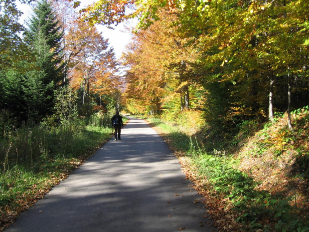 Droga do Roztok Górnych. #Góry #Bieszczady