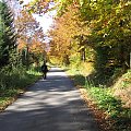 Droga do Roztok Górnych. #Góry #Bieszczady