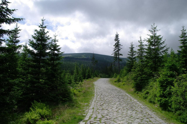 Karkonoski Park Narodowy #góry #KarkonoskiParkNarodowy #Karkonosze