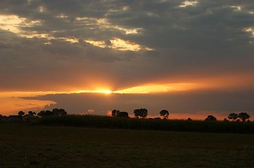 #zachód #słońca #kwaiaty #róże