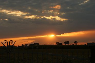 #zachód #słońca #kwaiaty #róże