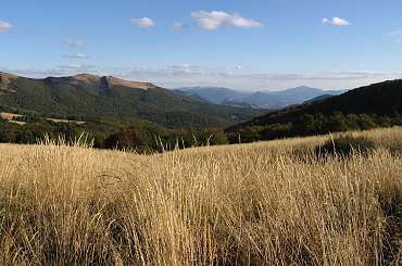 Połoniny #Góry #Bieszczady #Rozsypaniec #Halicz #Tarnica