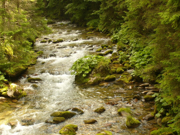 Tatry #Tatry #przyroda