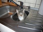 https://images39.fotosik.pl/219/f97a326ce32c7a0em.jpg