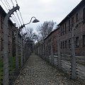 obóz w Auschwitz