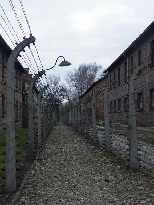 obóz w Auschwitz