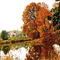 #woda #staw #drzewo #jesień #zieleń