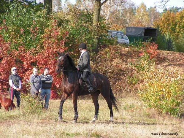 2008.10.18 Hubertus I