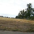 nasza działka