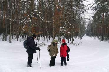 #Wędrownik #BoryTucholskie