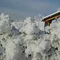 Mroźna zima. Małopolska Osiek/k Olkusza. Zdjęcia robione w pewien nudny dzień bez prądu.