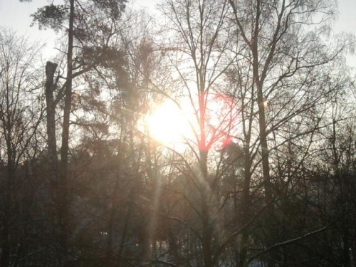 Wschód słońca w Czarnkowie - 23.01.2010