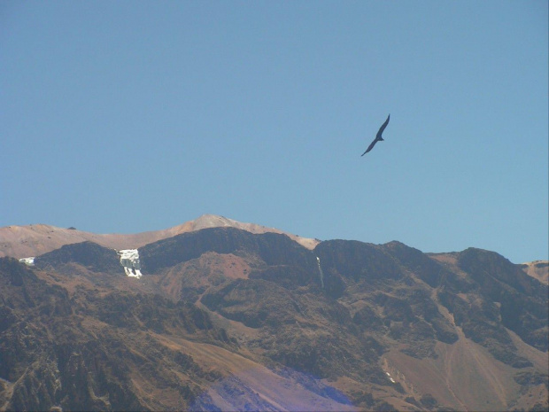 Punkt widokowy Cruz del Condor w Kanionie Colca - Peru