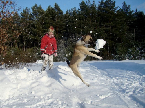 dla koneserów zimowych zabaw :D Ewa...dla Ciebie...:)) myślę, że radosny pies bez dziwnych komów jacy to inni są biedni poprawi ci humor :))