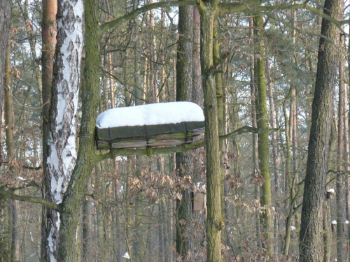 Wielkopolska Spontan centralny