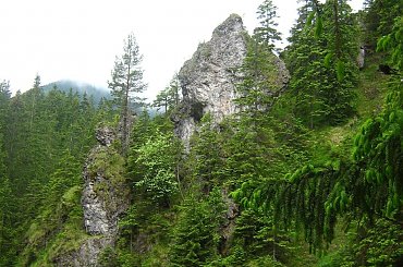 for Ewelinka :* :* żebyś w końcu zaczęła się cieszyć z życia... #DolinaChochołowska #góry #las #Tatry #Zakopane #lato