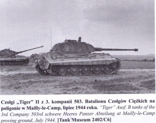 King Tiger 324