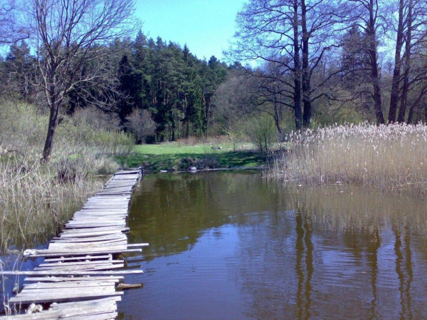 Mazury