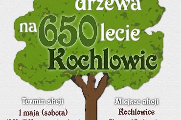 Plakat Drzewa #Kochłowice #GeniusLoci