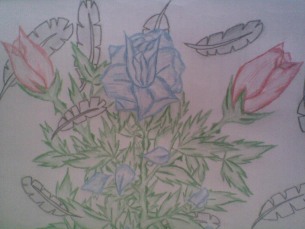 #róża #czerwony #niebieski #liście #rysunek #pióra #zielony