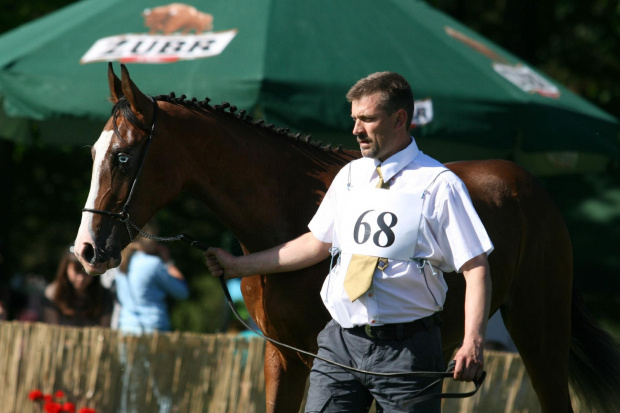 Adrenalina czempionat Białka 2010