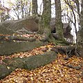 Karpaty, Pogórze, ok.Ryglic, Ostry Kamień #Karpaty #Pogórze #OstryKamień #xnifar #rafinski