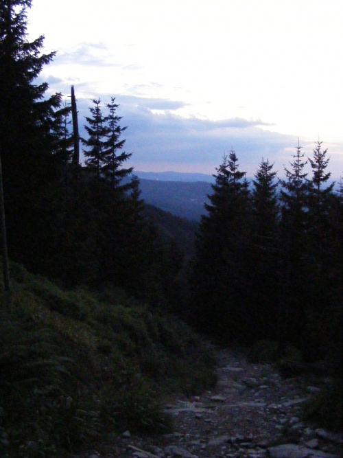 21:08:50 Spojrzenie niesamowicie zgrzanego wędrowca-dziada z czarnego zbocza w kierunku Karpacza górnego #SudetyKarkonosze