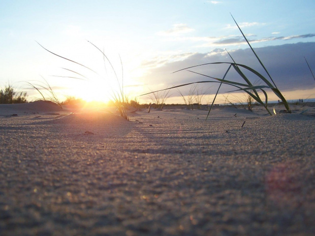 #plaża #piasek #słońce